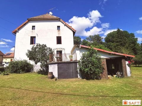 photo no. 3