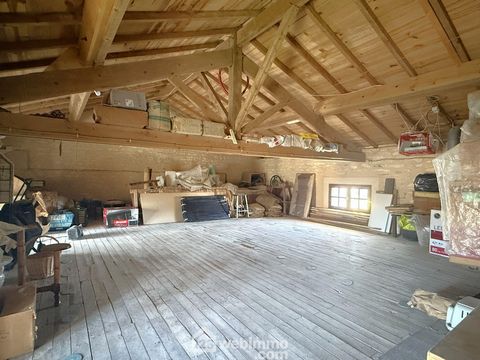 photo no. 13