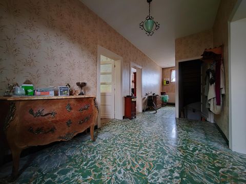 photo no. 5