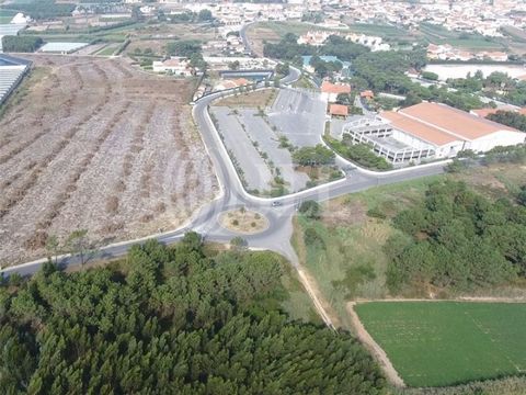 Land of 48000 sqm, located in a very peaceful area close to Santa Cruz Beach (1.5 km from beaches). Has an architectural project approved on 30/08/22 for the construction of an Assisted Residence for the Elderly with 120 beds. The construction area w...