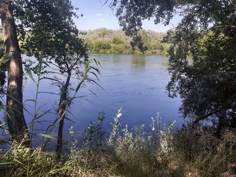 Do you want your own fishing spot on one of the most beautiful rivers in Spain and also grow your own wine Then heres your opportunity one and a half hectares of vineyard with more than 50 meters of river bank The site has its own well and is located...