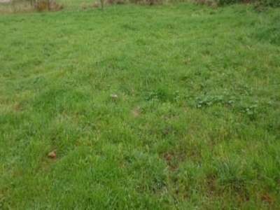 To discover very quickly, this building plot completely serviced of 881m2 located in Layrac, small quiet village on the countryside side near Villemur sur Tarn and Bessières, flat, no path to create. It is easy to project and what to make a very nice...