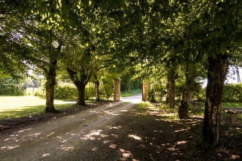 In het groene heuvellandschap van het regionale natuurpark Perigord-Limousin ligt het 13e-eeuwse Chateau de Mavaleix. Te midden van 60 hectare tuinen, weilanden, bossen, meertjes en rivieren, geniet u van een welverdiende vakantie. De woning is ruim ...