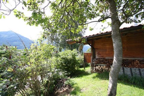 This cozy chalet in Niedernsill has a garden to enjoy the summers. Located in the middle of the Hohe Tauern National Park, this chalet is surrounded by beautiful views and has 2 bedrooms to sleep up to 5 people. The chalet is in the proximity of Zell...