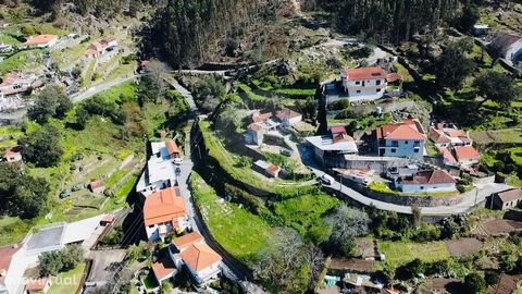 Small farm with 5 000 square meters, two villas, located in Antiga Vila de Refojos de Riba de Ave, Santo Tirso. Property very well located, with water mine galore, fantastic views, located near A3 and A41 access. The villas have had a restoration pha...