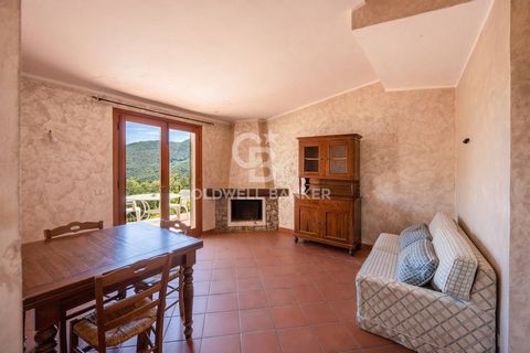 POGGIO - We offer for sale a villa free on four sides surrounded by nature and with a panoramic view of the sea. The Villa is on two levels and is divided into two apartments with independent entrances: on the ground floor a studio apartment with ent...