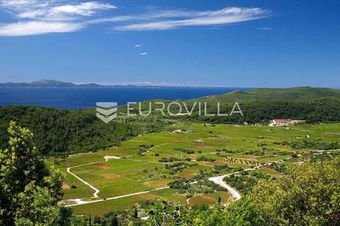 Island of Korčula, Čara, agricultural land 800 m from the sea, from the beautiful bay of Zavalatica. The land consists of three parcels with a total area of 39,823 m2, which is reached by an asphalt road (road), and all the necessary infrastructure (...
