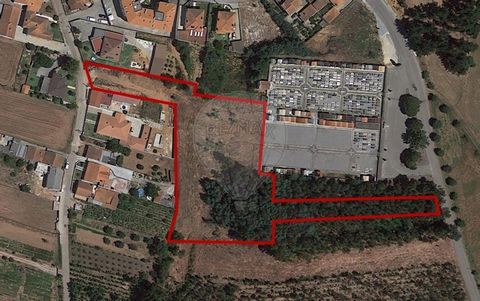 Description Terrain avec faisabilité de construction à Avelãs de Caminho. Situé dans un quartier résidentiel d’Avelãs de Caminho, à 4 km du centre d’Anadia et à 30 km d’Aveiro et de Coimbra, le terrain a une superficie totale de 7580m², dont environ ...