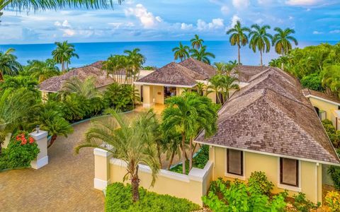 De villa biedt een prachtig uitzicht op het Caribisch gebied, de voorzieningen van een vijfsterrenresort en uitzonderlijke privacy. Dit luxe landgoed ziet er vaak uit als een boomhut, omdat er geen centimeter van het interieur is dat niet verbonden i...