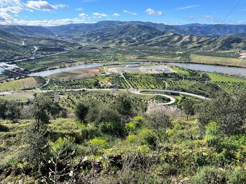 Located in the stunning scenery of the Upper Douro, Quinta do Campo de Almaçâe offers a unique opportunity to own a 103-hectare property in a privileged location in Pocinho. With a wide range of agricultural resources and a strategic location, this e...