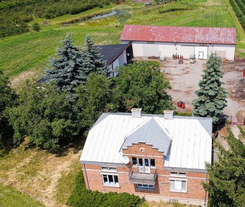 ORCHARD FARM WITH BUILDINGS I present the sale offer of a farm located in Wilcze Piętki, Biała Rawska commune, Rawa district, Łódź voivodeship, with a total area of 11.69 ha. The property consists of 3 plots of the following area: 1) plot No. 39/1 – ...