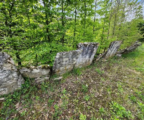 REF 18673LV - CHATEAU CHALON CENTER - Come and discover this superb building steeped in history located in the heart of one of the most beautiful villages in France: Château-Chalon. Nestled at the top of a rock, you will be seduced by this environmen...