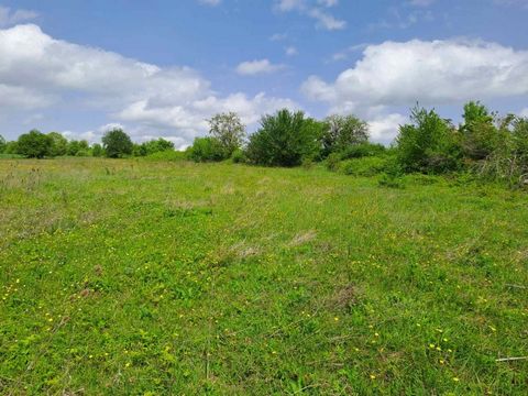 Real estate agency 'Imoti Tarnovograd', offers you two plots of land in the village of Velchovo. The village is located 10 km. from the town of Debelets and 15 km. from the city of Veliko Tarnovo. The property consists of two adjacent plots with a co...