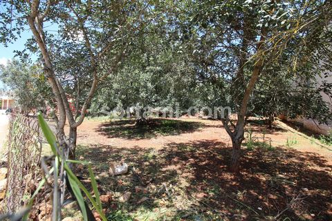 Land for construction of townhouses. Located in the parish of Tor, in a very quiet and populated area. With open views over the mountain and excellent tarred access. Querenca is a typical Algarve village, full of natural, architectural and tradition ...