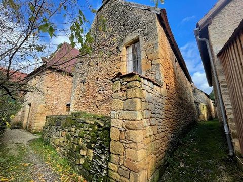 ST Léon sur Vézère, geklasseerd als een van de Mooiste Dorpen van Frankrijk, is een must-see bestemming in het hart van de Périgord Noir, vooral vanwege zijn historische en culturele rijkdommen! Iedereen zal een andere interesse vinden! de charme van...