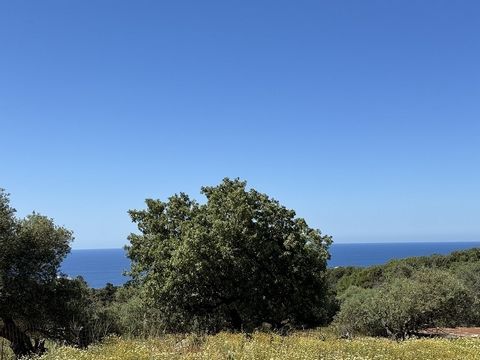 Nikiforos Fokas , Atsipopoulo, Plot For Sale, In City plans, 1.109 sq.m., View: Sea view, Features: For development, Fenced, For Investment, On Corner, For tourist use, Distance from: Airport (m): 62000, Seaside (m): 3600, City (m): 5500, Village (m)...