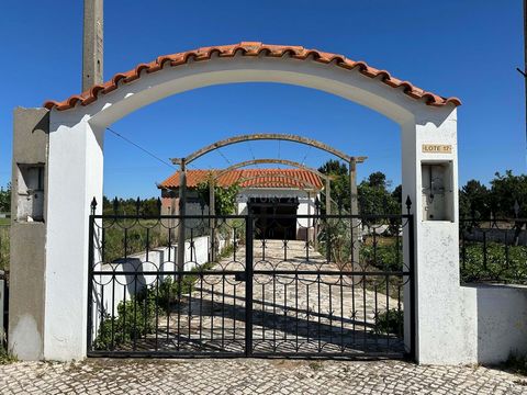 Urban plot in Marinhais, 50 minutes from Lisbon, on Rua do Mercado. The land area is 408 m2 with a 28 m2 garage already built and legalized. On the plot plan we have information to build a 2-storey villa with 100m2 per floor and an annex/garage of 28...
