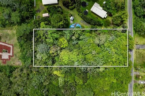 Beautiful large 1 acre lot in Hawaiian Paradise Park ready for you to use your imagination on how to design the natural elements on the property and where you would want to build your house pad for your new home.
