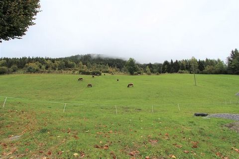 Cet appartement de vacances au design moderne pour un maximum de 2 personnes est situé dans une ancienne ferme d'environ 450 ans, à environ 1050 mètres d'altitude à Fresach dans le pays de Villach en Carinthie, directement dans les montagnes et à pro...