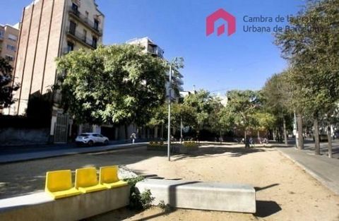 Commercial premises in Finca Regia in the Putxet area of Barcelona Commercial premises of 175 m², on one floor, in Regia estate. It has large open spaces, very high ceilings, wooden beams, original doors and floors in a beautiful building from the ea...