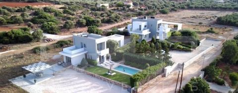 Ce complexe de 2 villas à vendre à La Canée, en Crète, est situé dans le charmant village de Stavros sur la péninsule d’Akrotiri. Les deux villas ont une surface habitable de 260m2 au total avec un garage supplémentaire de 211m2 et un espace de stock...