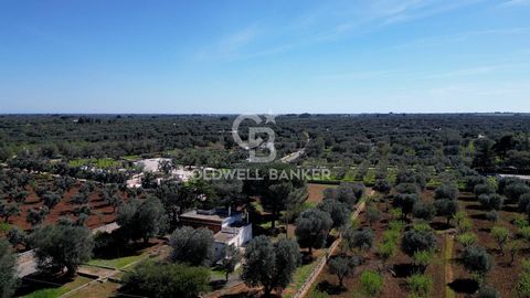 PUGLIA - OSTUNI (BR) VILLA Coldwell Banker offers for sale a villa located in the heart of the Ostuni countryside with a redevelopment, reconstruction and expansion project as well as the construction of an in-ground swimming pool, currently in the a...
