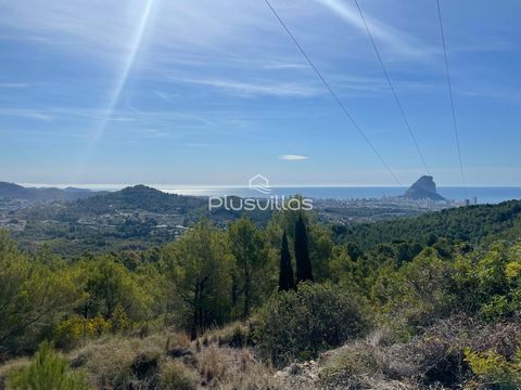 Villa with 4/5 bedrooms to reform. This property is to reform completely and has a lot of possibilities! It is a house built in 1930 and offers incredible views to Calpe, the sea, the mountains, Benissa, Moraira and Moraira. .... Would you dare to tr...