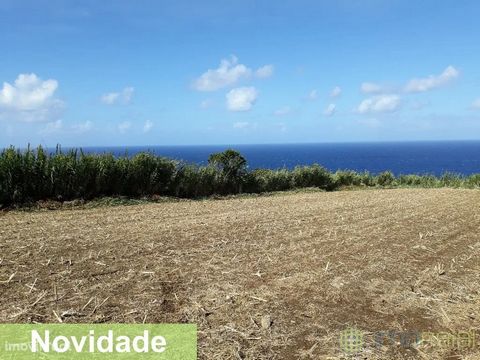 Land for sale in the parish of Salão. With 3146m2, access through a common path and flat topography, ideal for the practice of agriculture.