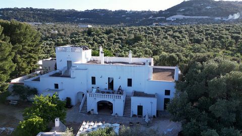 PUGLIA - FASANO (BR) - CONTRADA GIARDINELLI At the gates of Fasano, we offer for exclusive sale this typical and enchanting Apulian farmhouse, dating back to around the 17th century. The property, with its 890 m2 and 3.5 hectares of land, offers a pa...