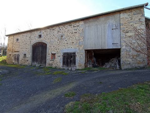 photo no. 2