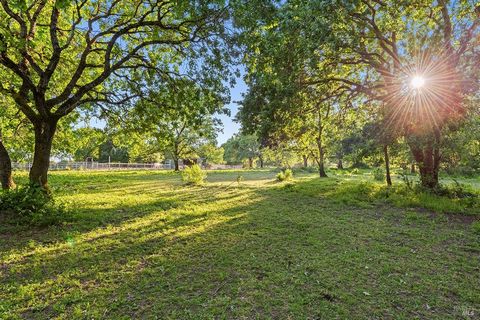 The Fiddler Ranch, a heritage 27.45 acre countryside of its very own, is just 1.8 miles to Sebastopols downtown core. Enriched w/so much character & opportunity, wide open pastureland contrasts w/a long perimeter of specimen oaks,a boutique organic v...