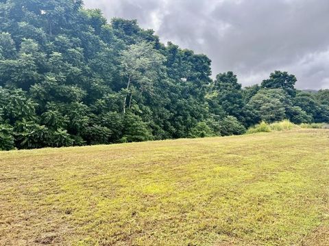 Welcome to your piece of paradise in Goldsborough Valley. This stunning block offers the perfect opportunity to build your dream home and live your best life surrounded by nature's beauty. This land is truly a rare gem, offering a large building area...