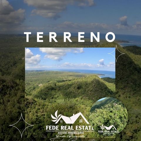Land located in the sector of Playa Morón of total 24,573.78 square meters.