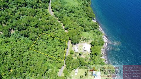 An incredible opportunity to own 1.3 Acres of freehold land in a prime location just across from the sea and steps to a secluded black sand beach. This rare property offers endless possibilities, whether you’re looking to build your dream home, a lux...