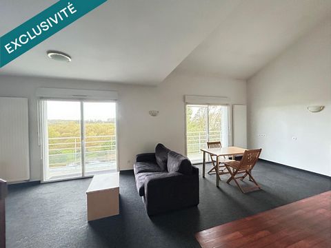 SPÉCIAL Investisseur - La Haie-Fouassière - Grand appartement T2