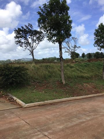 Très beau terrain plat sur une unité de 10 hectares