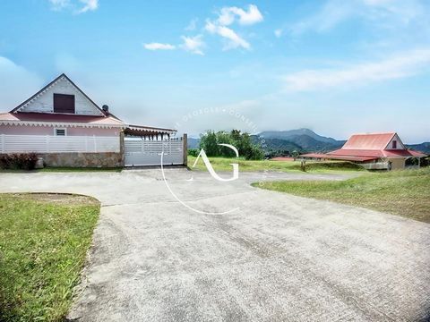photo no. 2