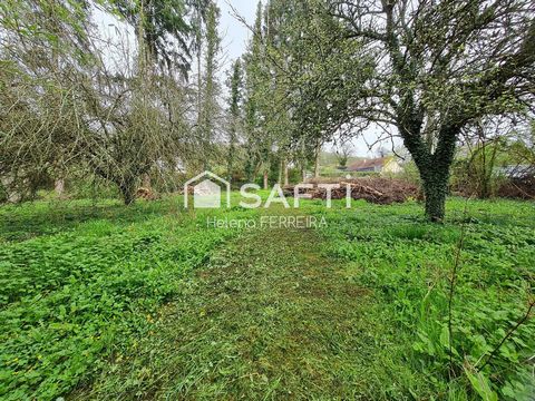 photo no. 18