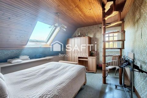 photo no. 7