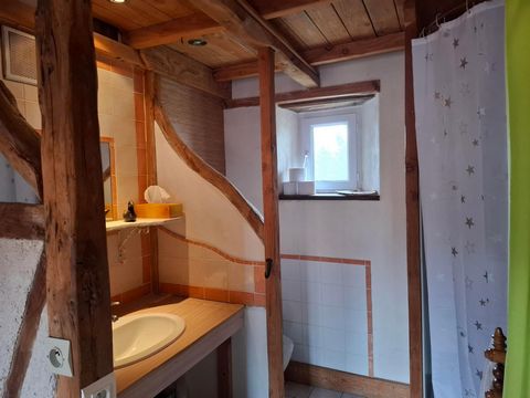 photo no. 10