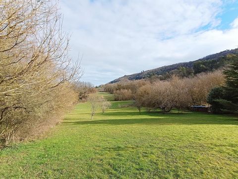 photo no. 4