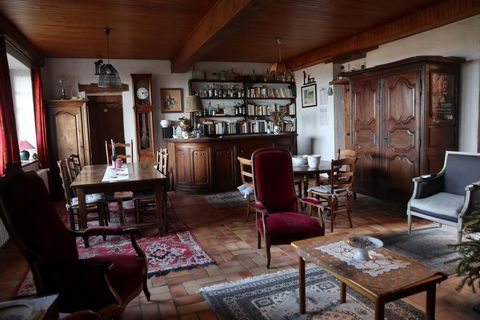 photo no. 9
