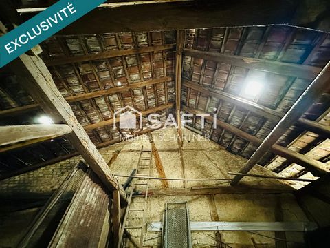 photo no. 16