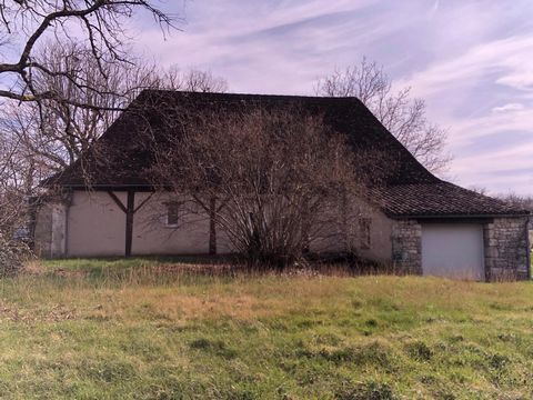 photo no. 17
