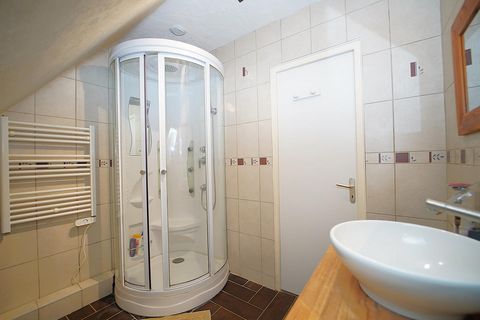 photo no. 11