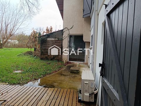 photo no. 12