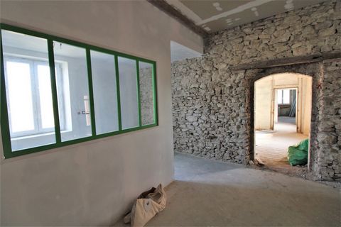 photo no. 12