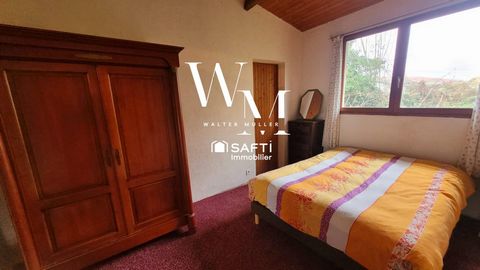 photo no. 11