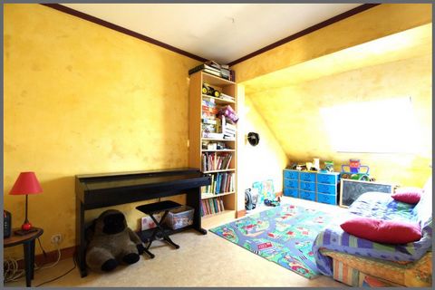 photo no. 11