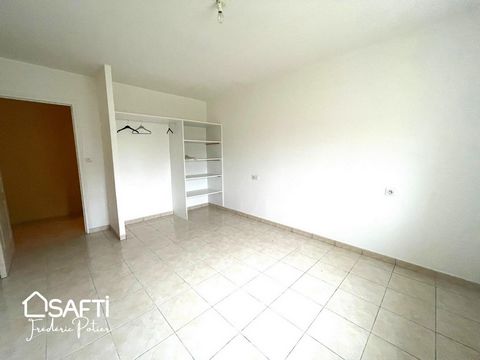 photo no. 12